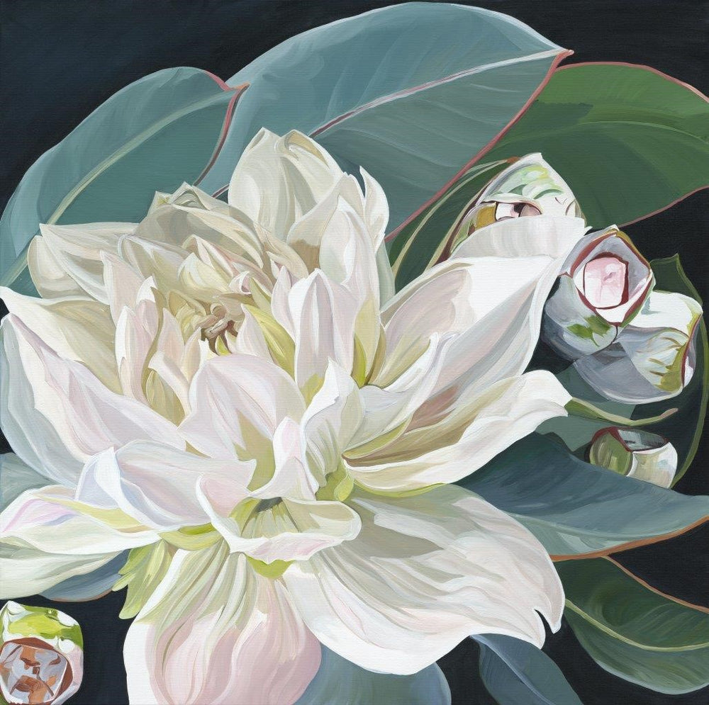 Aida Wallpaper Wallpaper Absoluta   