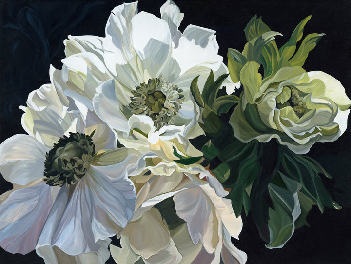 Armida Wallpaper Wallpaper Absoluta   