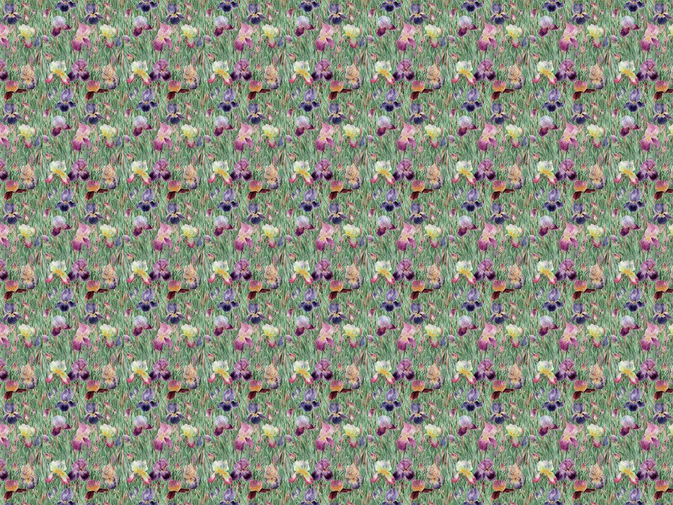 Iris Garden Wallpaper Wallpaper Absoluta   