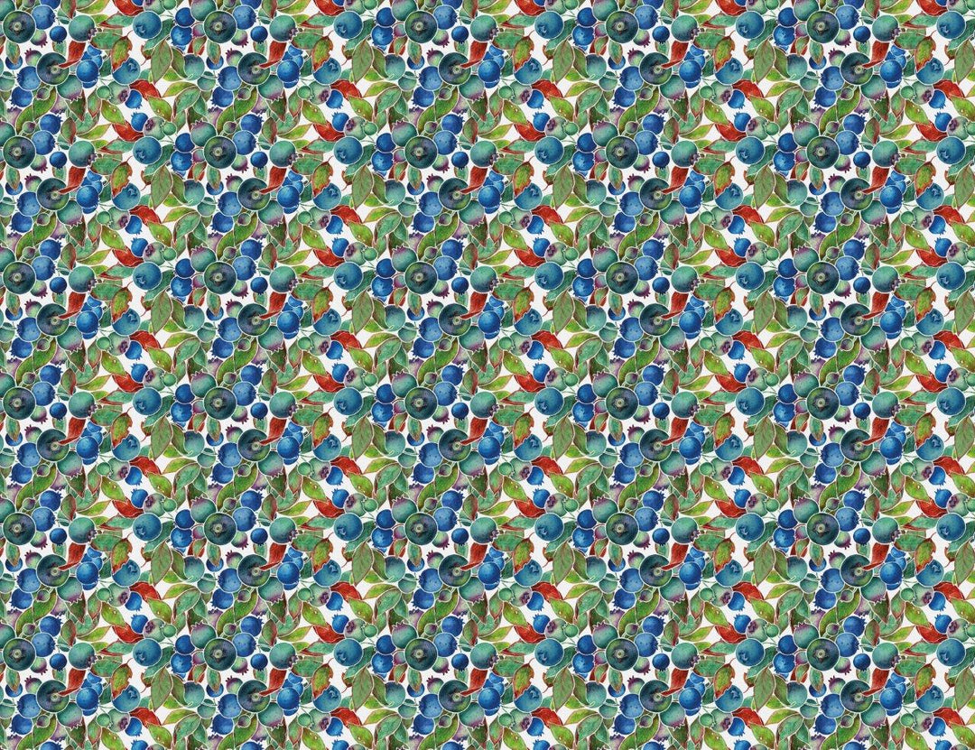 Blueberries Wallpaper Wallpaper Absoluta Prime Original 