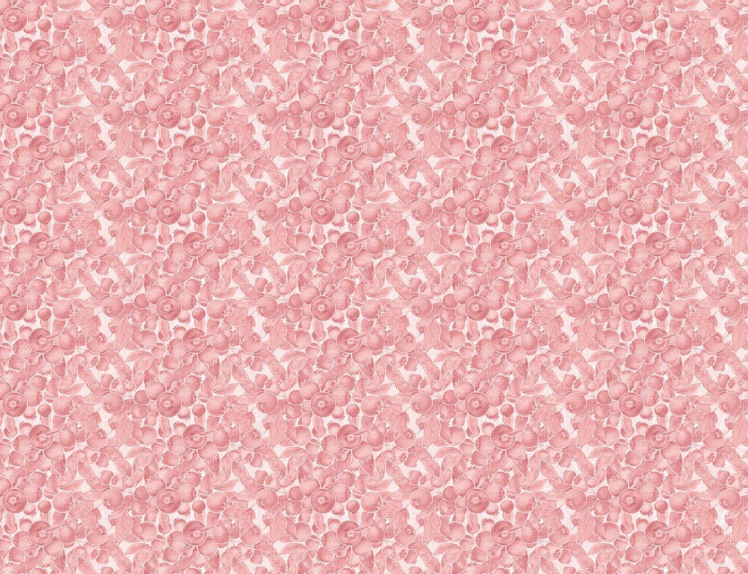 Blueberries Wallpaper Wallpaper Absoluta Prime Pink 