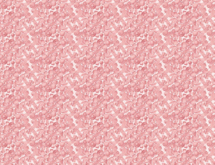 Blueberries Wallpaper Wallpaper Absoluta Prime Pink 