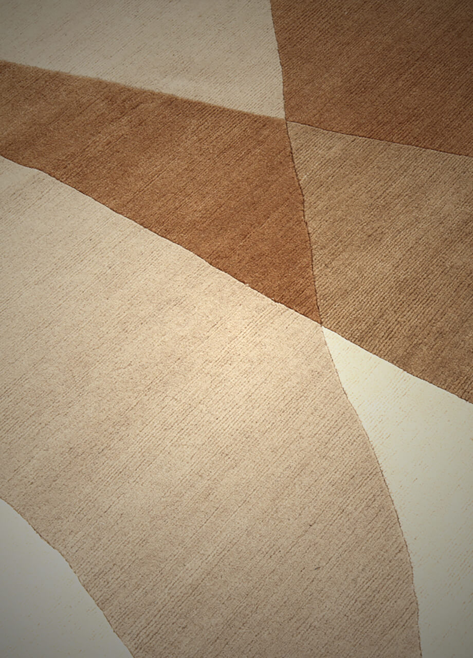 Riflessi Rug Rugs Amini   