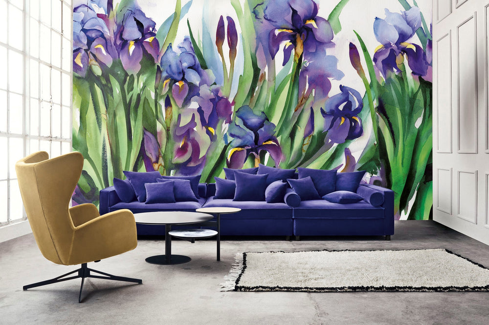 Iris Wallpaper Wallpaper Absoluta   