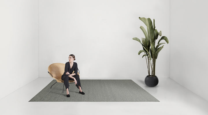 Plain Rug Rugs Amini   