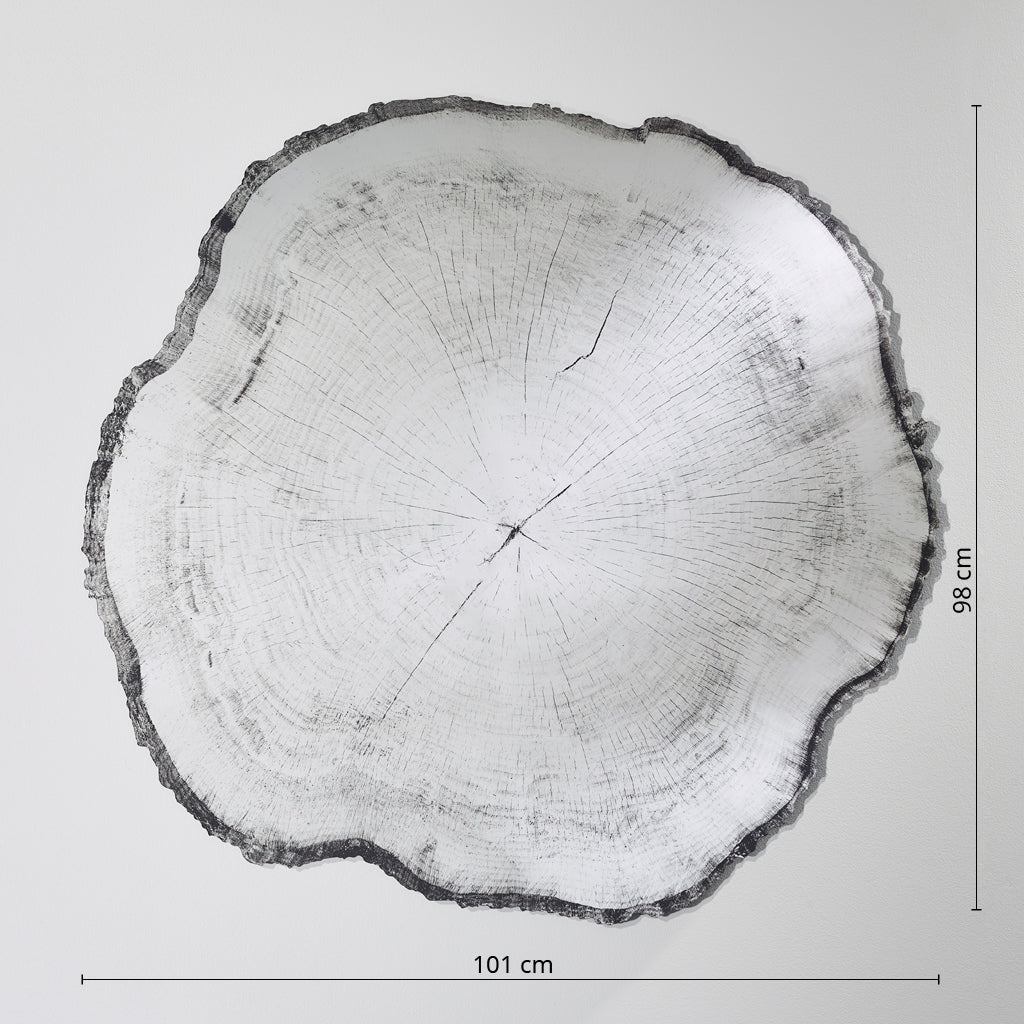 Arbo Dark M Mirror Mirrors Deknudt Mirrors   