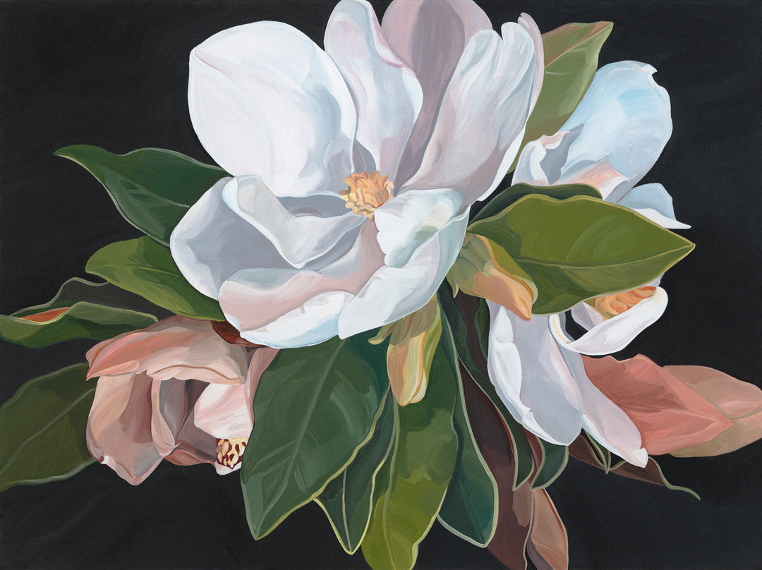 Selinda Wallpaper Wallpaper Absoluta   