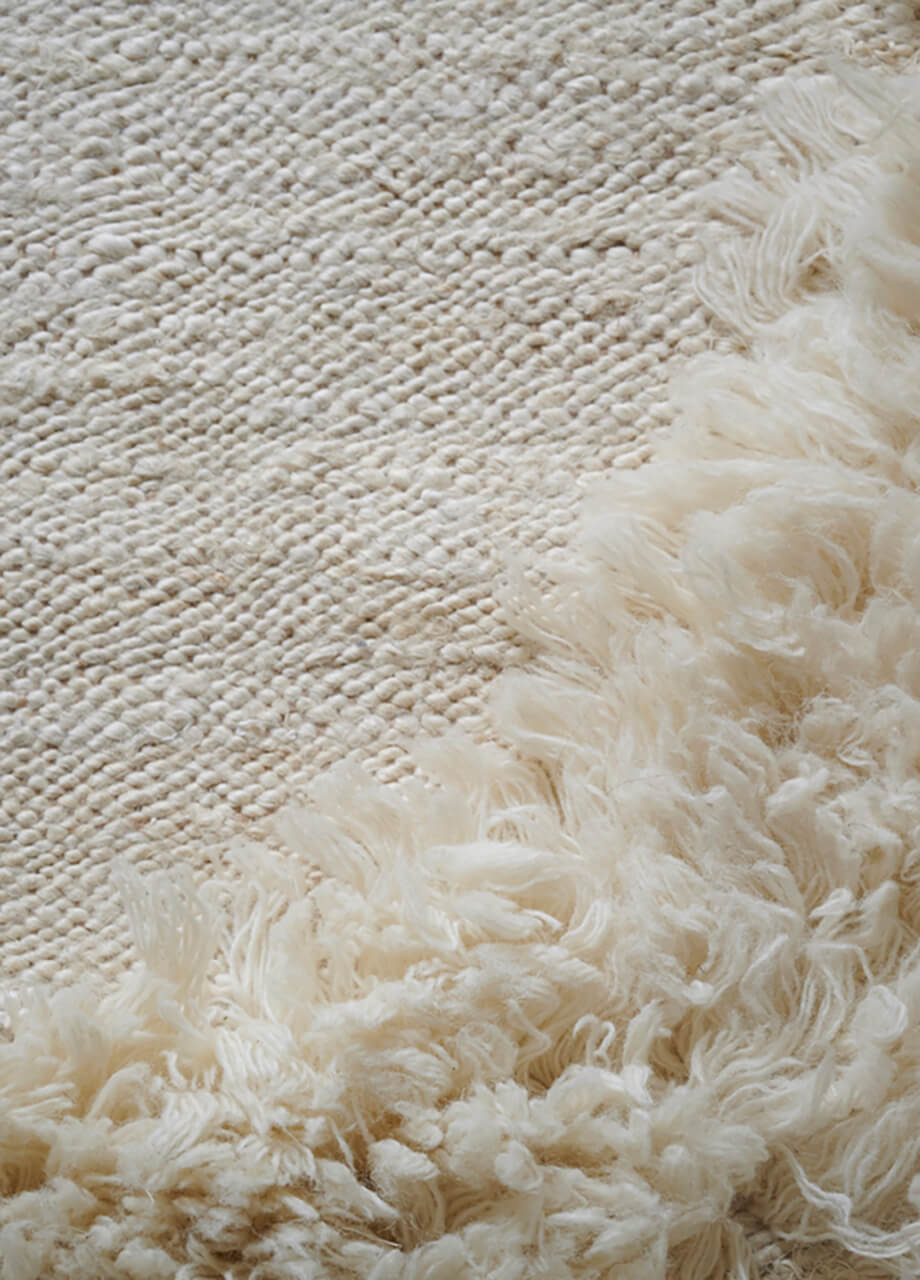 Il Volo Carpet Rugs Amini   