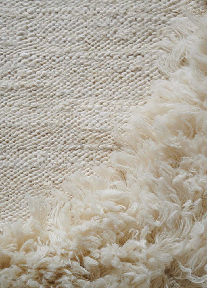 Il Volo Carpet Rugs Amini   