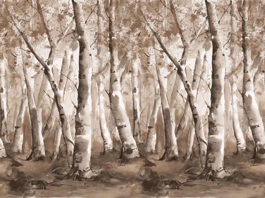 Betulle Wallpaper Wallpaper Absoluta   