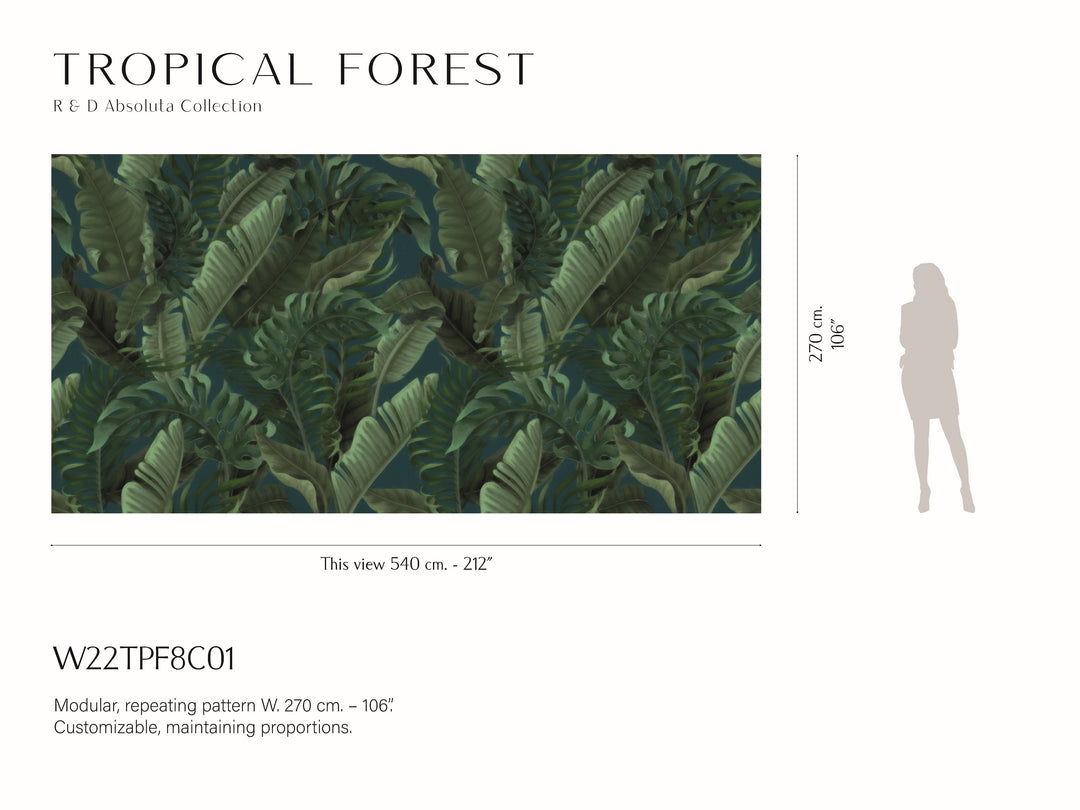 Tropical Forest Wallpaper Wallpaper Absoluta   