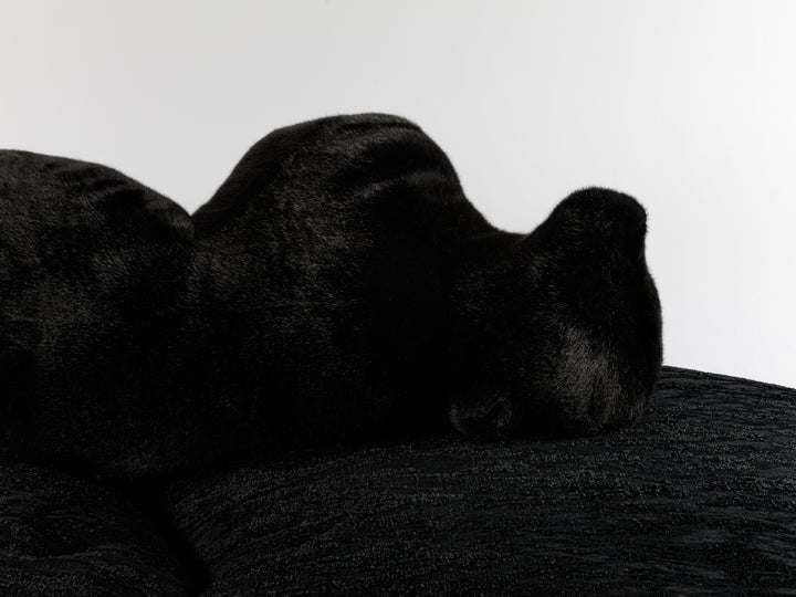 Pack Sofa Black Sofas Edra   