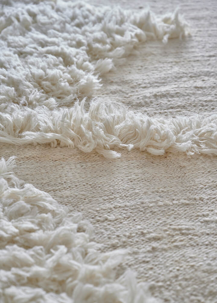 Il Volo Carpet Rugs Amini   