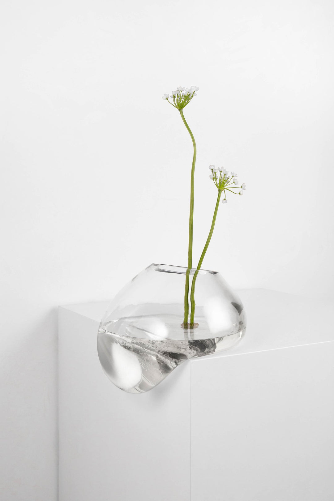 Gutta Vase CS1 Vases Noom   
