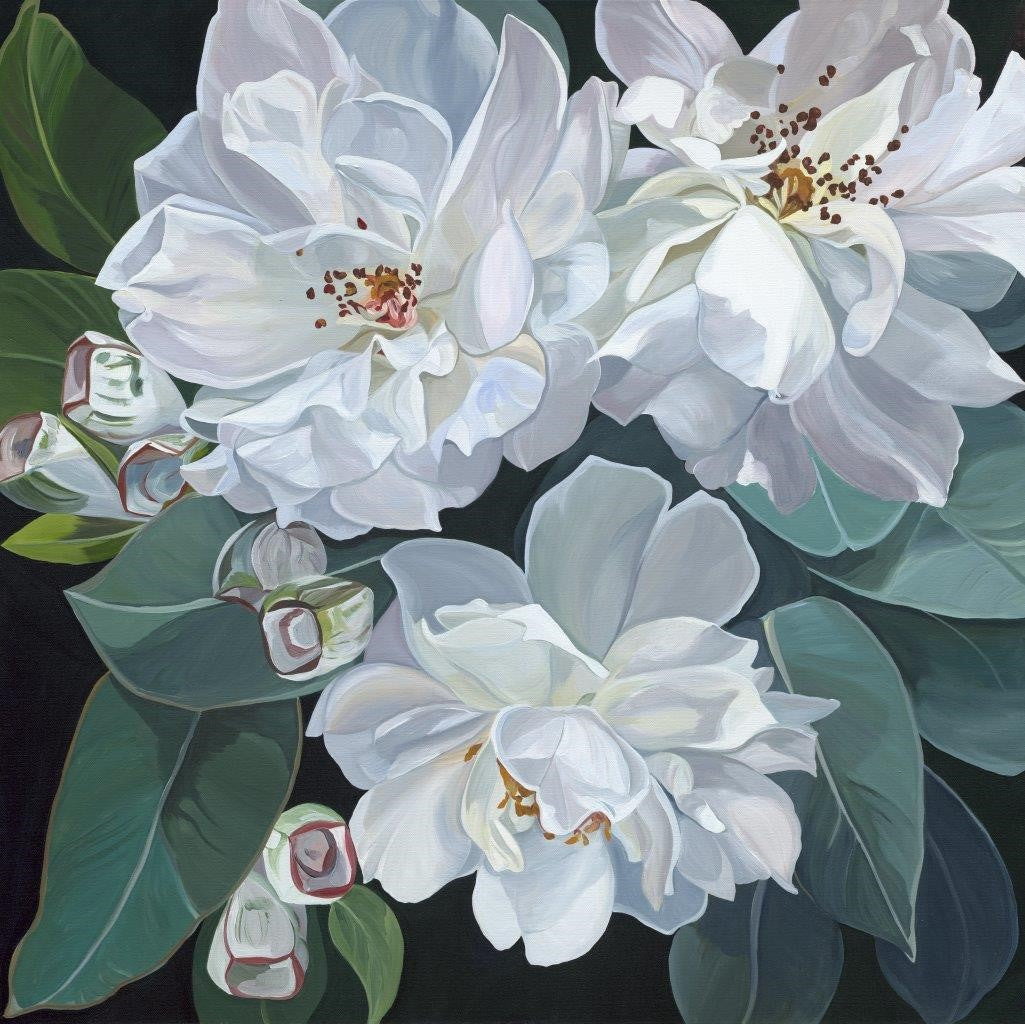 Ophelia Wallpaper Wallpaper Absoluta Prime Original 