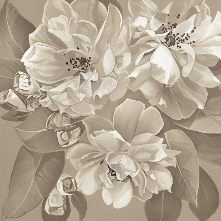 Ophelia Wallpaper Wallpaper Absoluta Prime Cashmere 