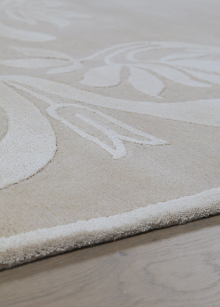 Pavoni Rug Rugs Amini   